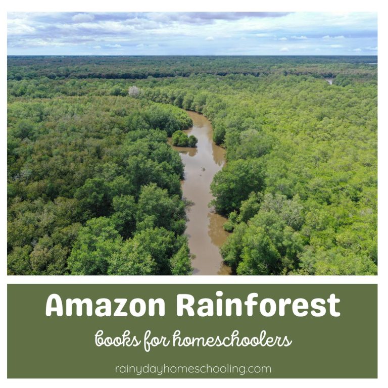 The Best Books about The Amazon Rainforest for Kids