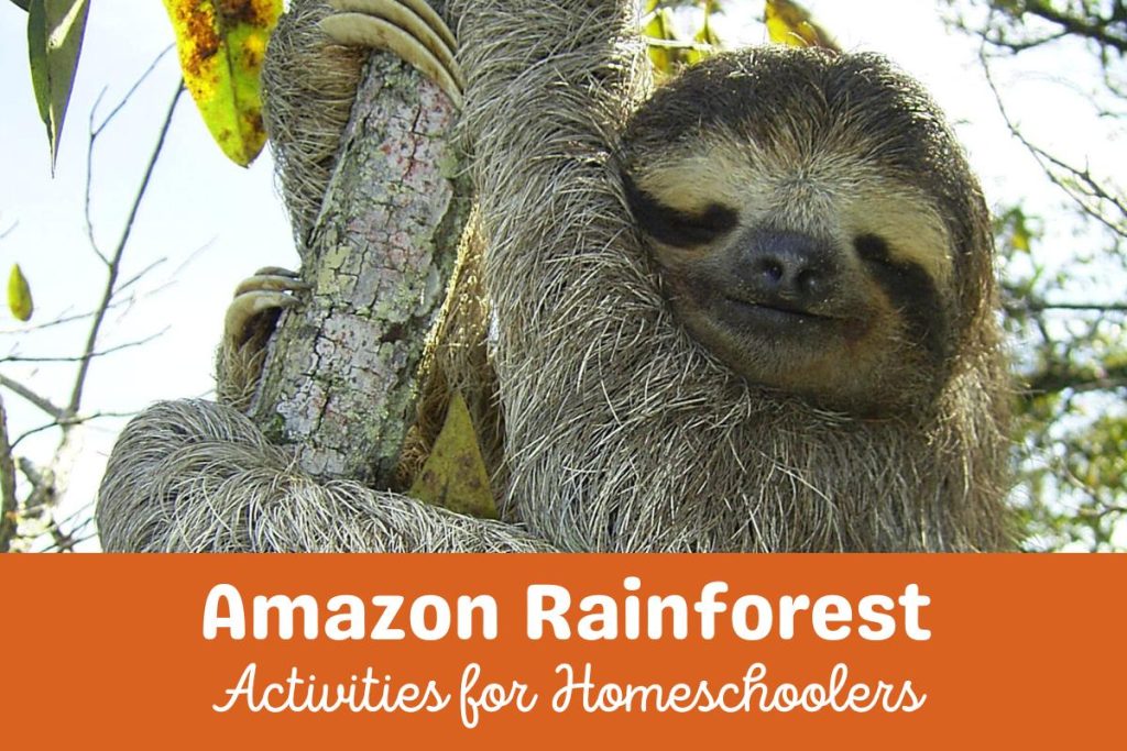 Picture of a sloth in a tree with the text below reading Amazon Rainforest Activities for Homeschoolers