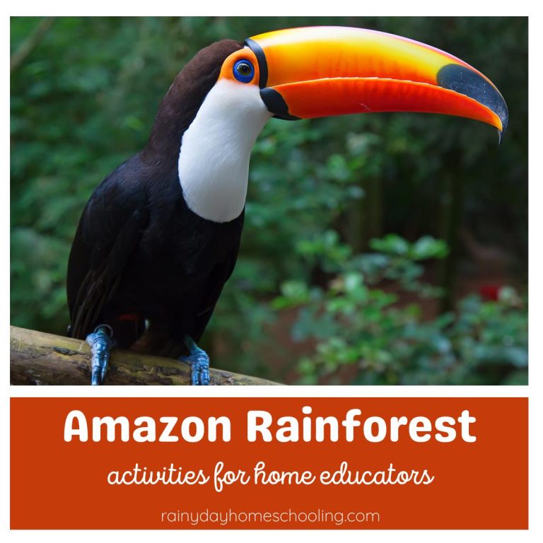 Amazon Rainforest Activities for Homeschoolers