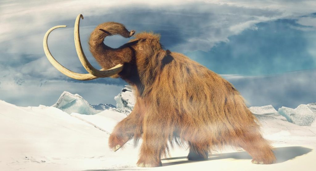 Image of a wooly mammoth in the ice age fighting against the storm