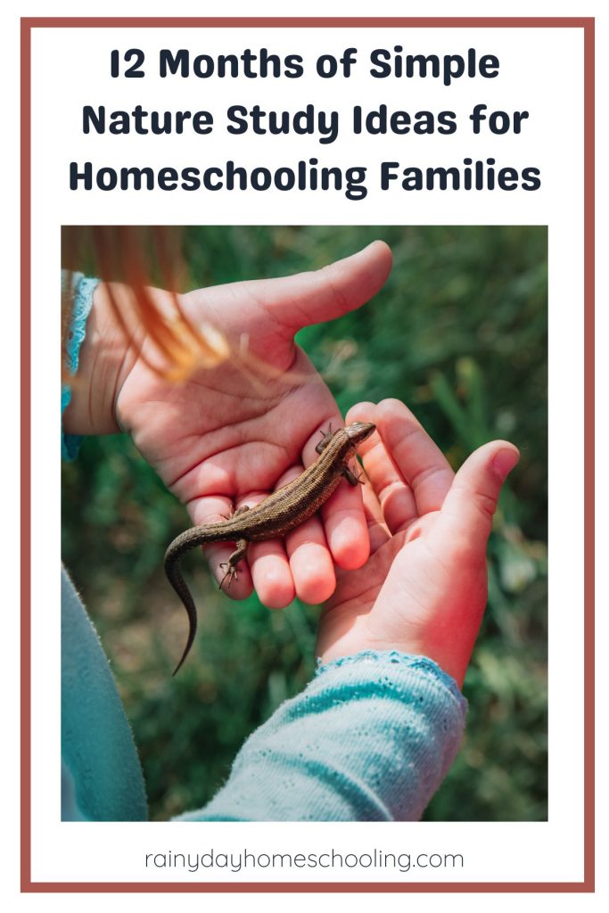 Pinterest Image for 12 months of simple nature study ideas for homeschooling Families.