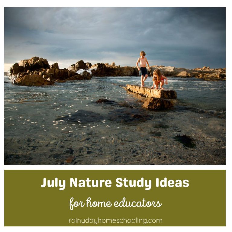 Nature Study Ideas for the Month of July