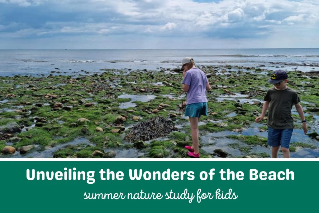 two children at the beach in the tide pools. Text below the image reads Unveiling the Wonders of the Beach Summer Nature Study for Kids.