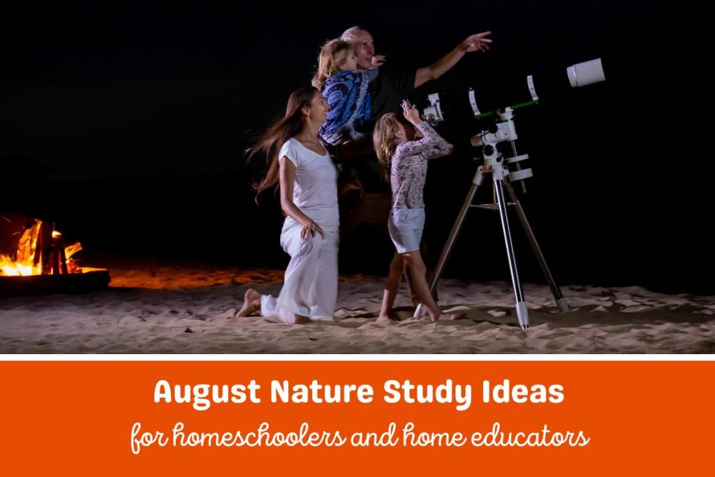 A family observing the night sky on the beach during August. Text below the image reads August Nature Study Ideas for Homeschoolers and Home Educators.