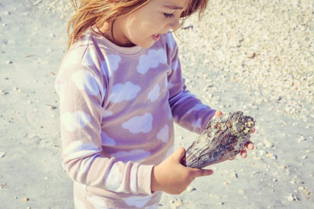 a young girl holding a large shell that she has found beach combing. The shell is covered in barnacles.