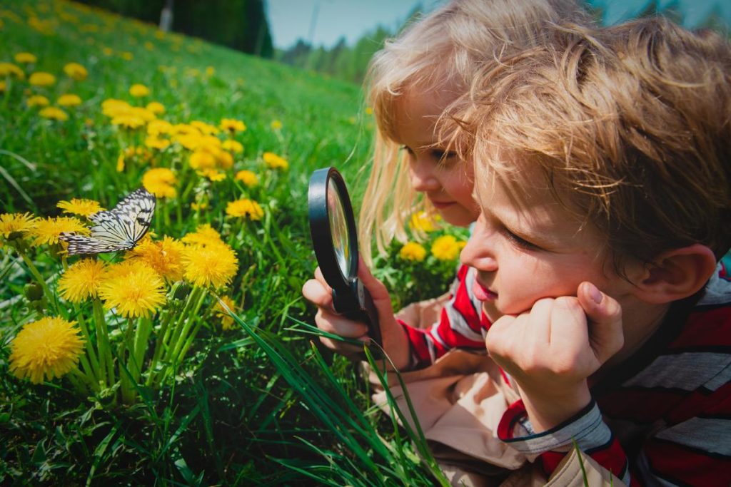 Two young children looking through a magnifying glass at a butterfly on a wildflower in the grass.