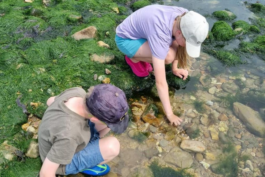 two kids looking into the water in the tide pool to see what amazing creatures they can find.