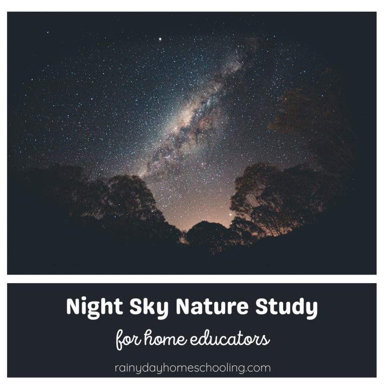 Night Sky Nature Study for Kids