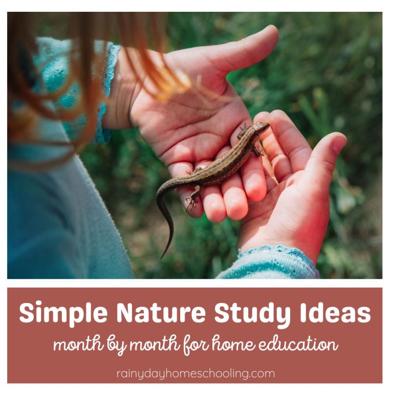 12 Months of Nature Study: Inspiring Adventures for Homeschoolers to Explore the Natural World