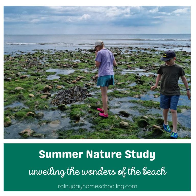 Beach Nature Study for Kids: Unveiling the Wonders of the Beach