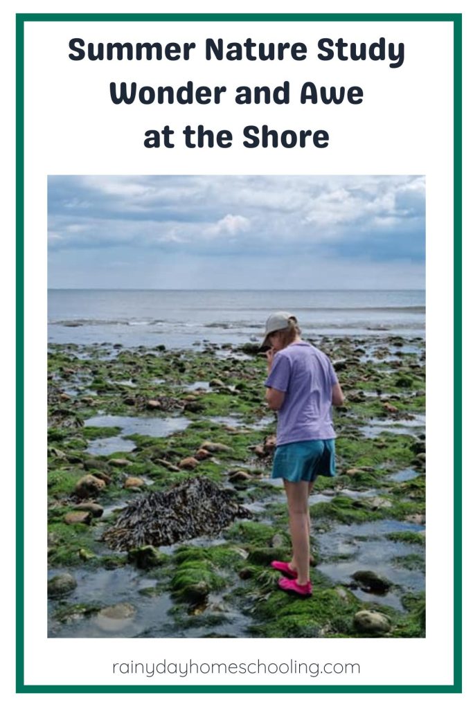 Pinterest Image for Summer Nature Study Wonder and Awe at the Shore.