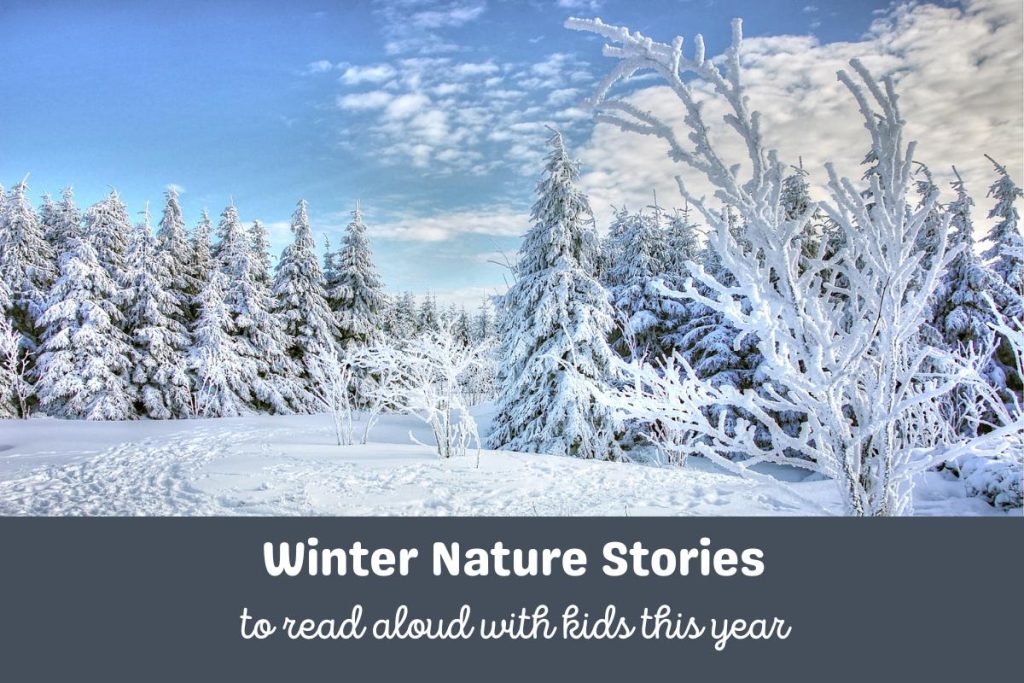 A snowy winter scene with trees covered in snow and footprints leading into the distance. Text below reads Winter Nature Stories to Read Aloud with Kids this Year.