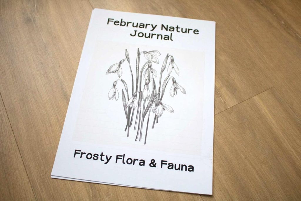 The free printable February Nature Journal for Kids front cover with a line drawing of a snow drop.
