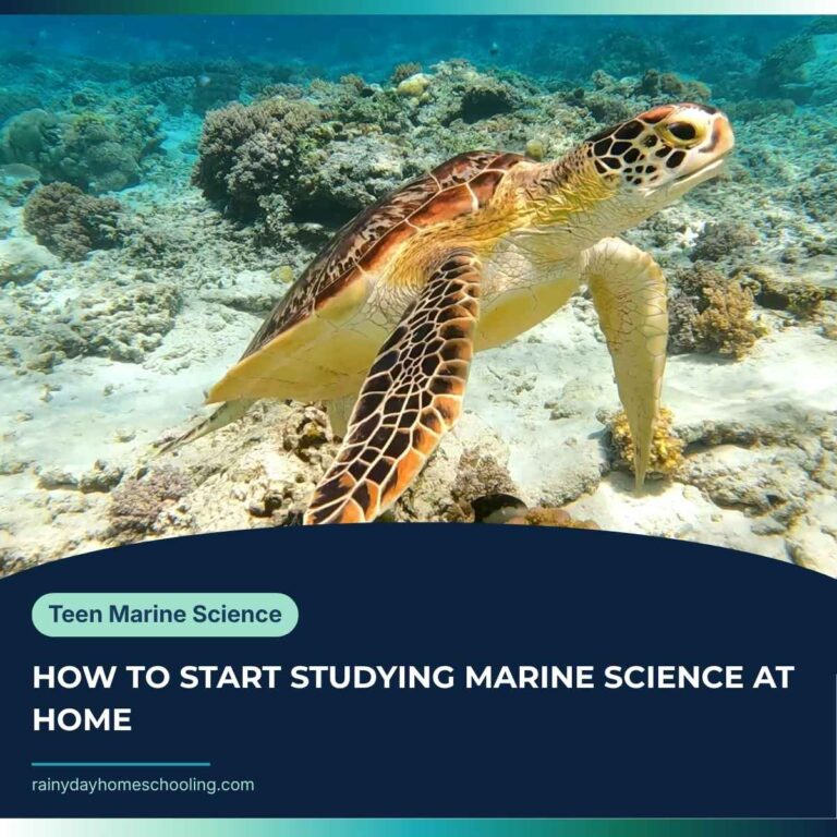 A image of a sea turtle on the bottom of a sandy bed text under reads Teen Marine Science How to Study Marine Science even if you don't live near the sea.