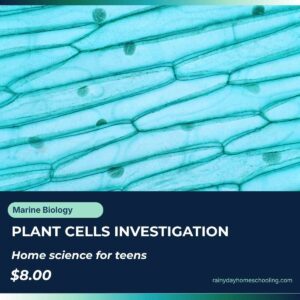 Onion cells as seen under a microscope image. Text reads Plant Cell Investigation Home Science for teens from rainydayhomeschooling.com.
